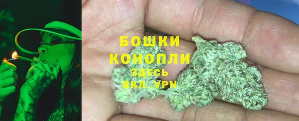 ешки Новозыбков