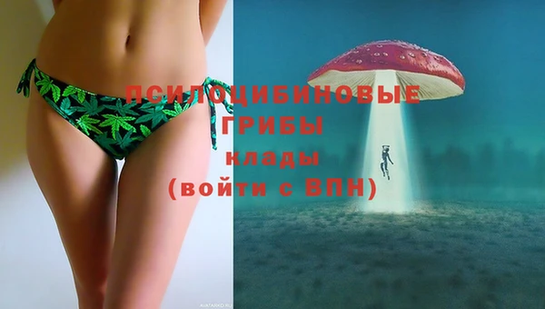 ешки Новозыбков