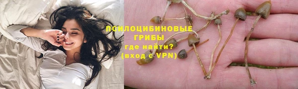 2c-b Новодвинск
