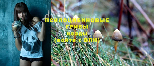 кристаллы Няндома