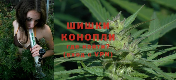 ешки Новозыбков