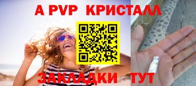 индика Гусев