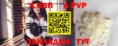 индика Гусев