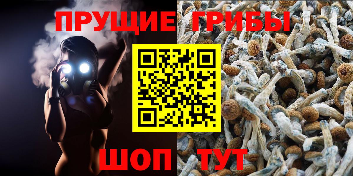 Галлюциногенные грибы мицелий  Вход с VPN  Ишимбай 