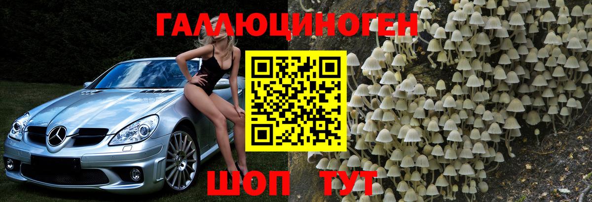 что такое   Галлюциногенные грибы Psilocybine cubensis  Ишимбай  Галлюциногенные грибы мухоморы 