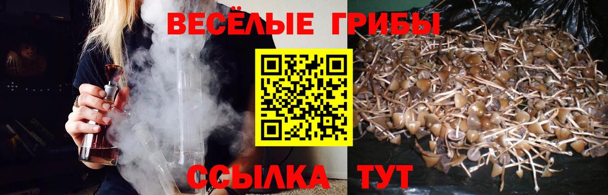 Псилоцибиновые грибы мухоморы Ишимбай